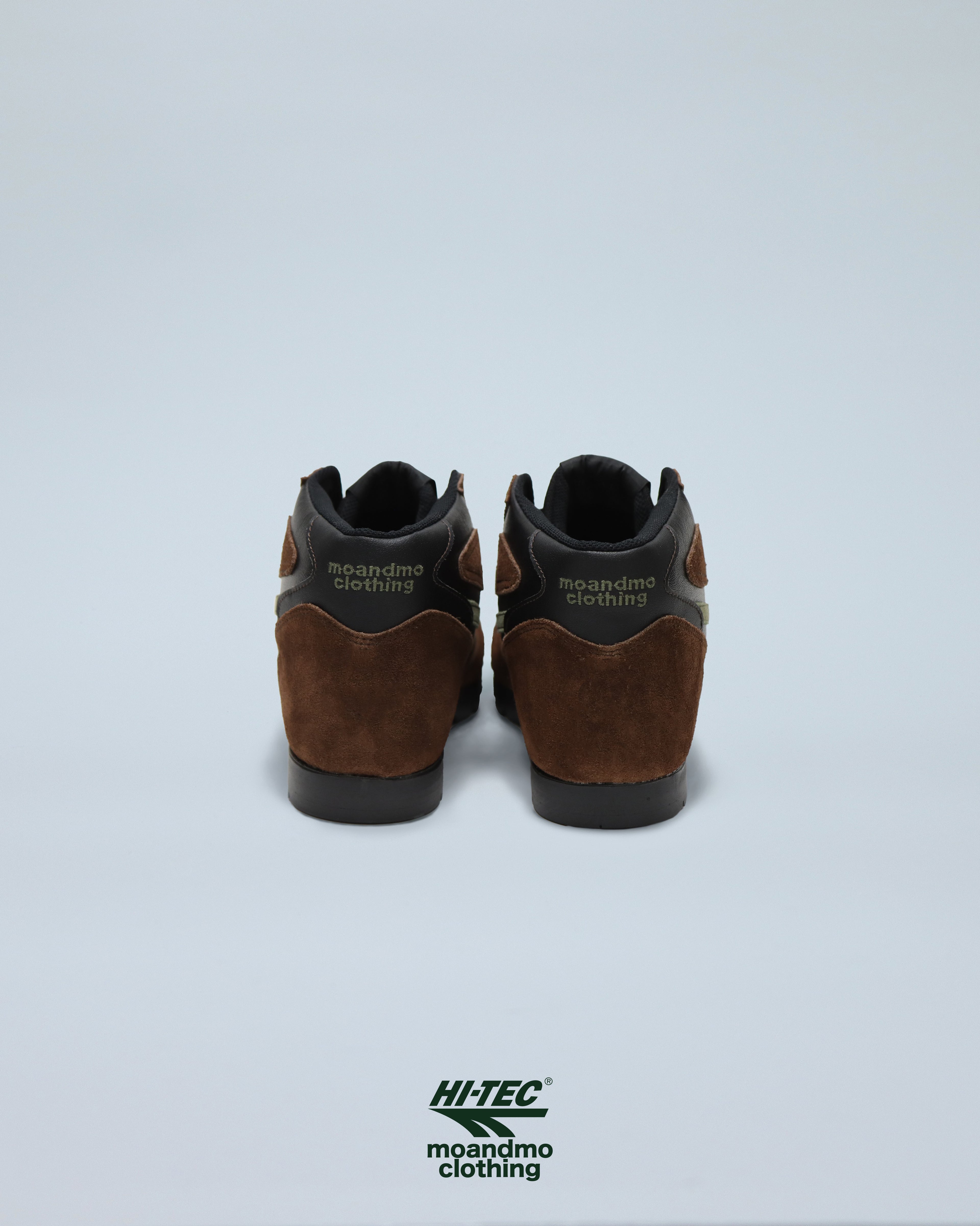 "HI-TEC SIERRA LITE Collaboration"