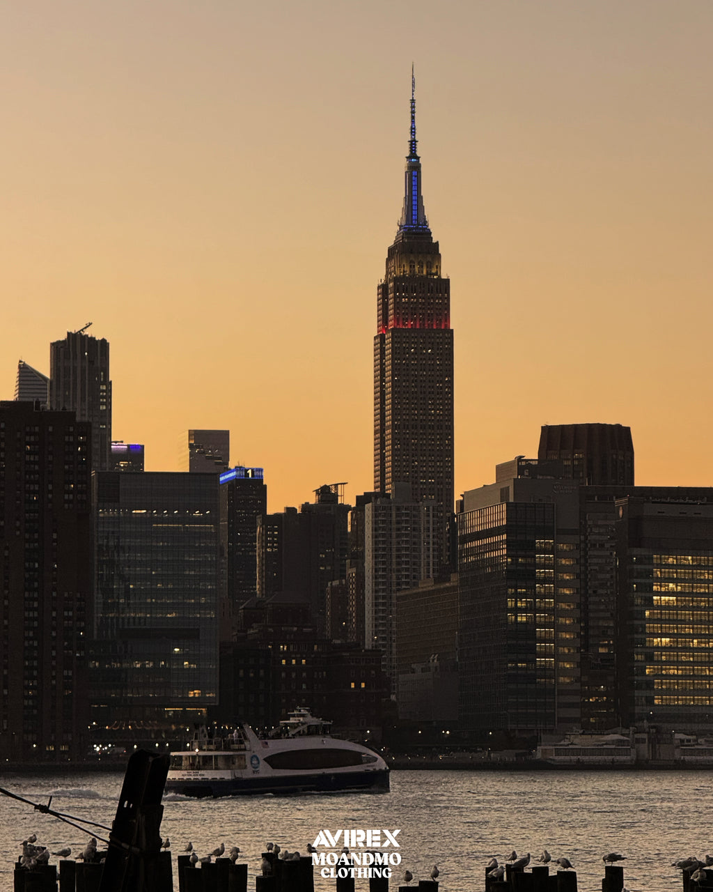 MOANDMO × AVIREX Collaboration 2024