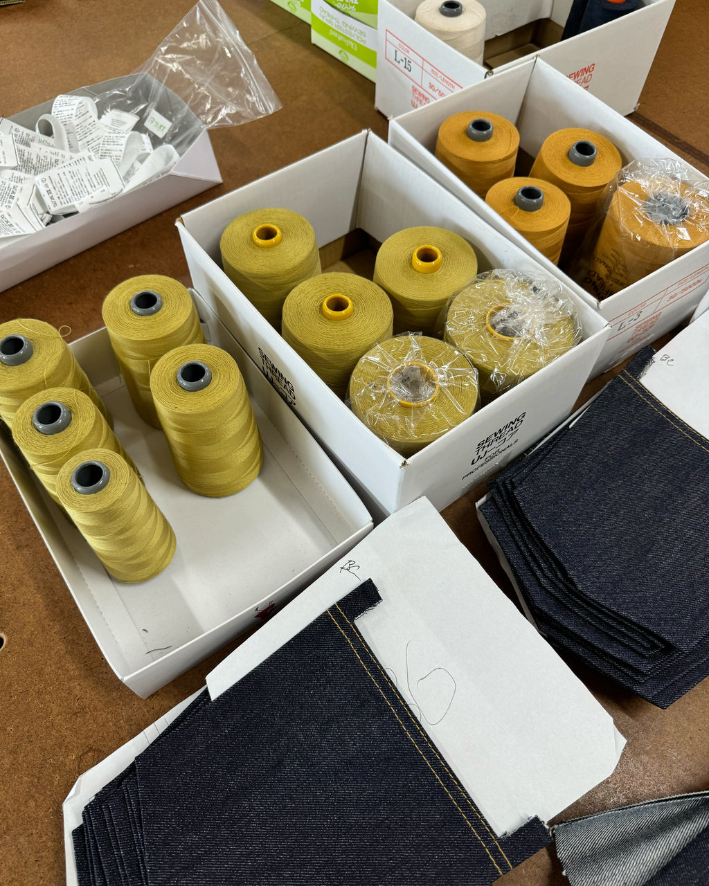 MOANDMO × BLUE IN GREEN DENVER Collaboration 2024