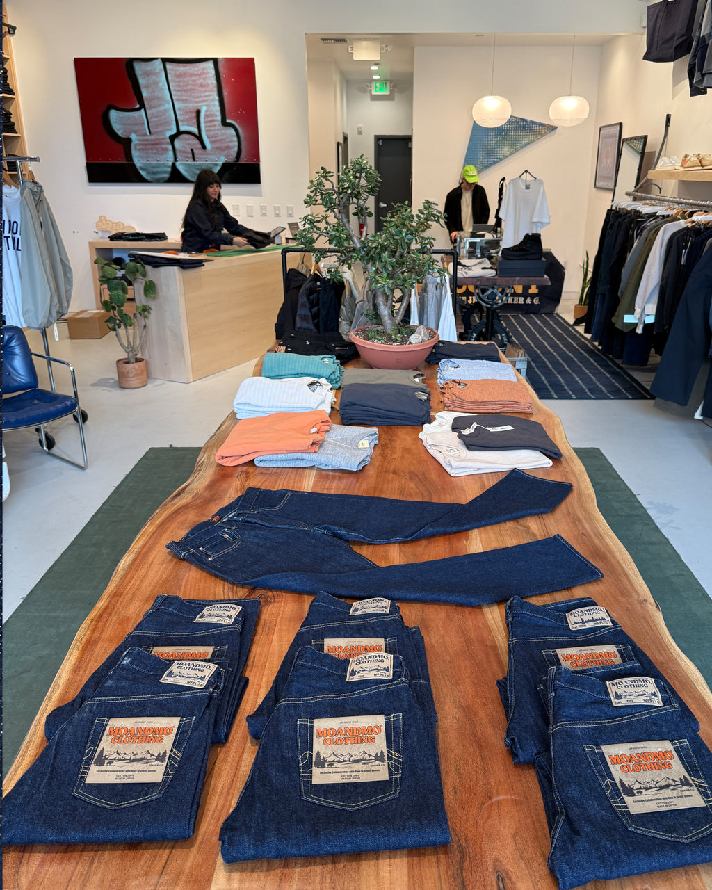 MOANDMO × BLUE IN GREEN DENVER Collaboration 2024